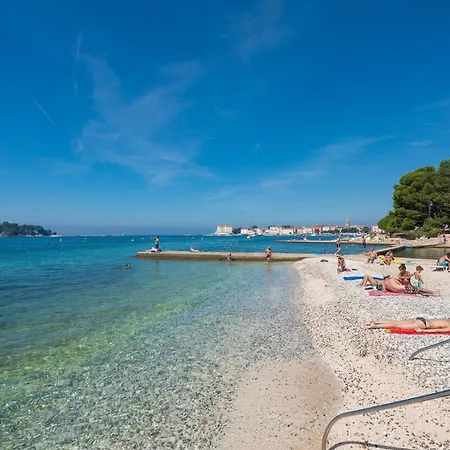 Dvori With Pool * Kaštelir